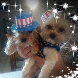 Meet your Posher, Karen